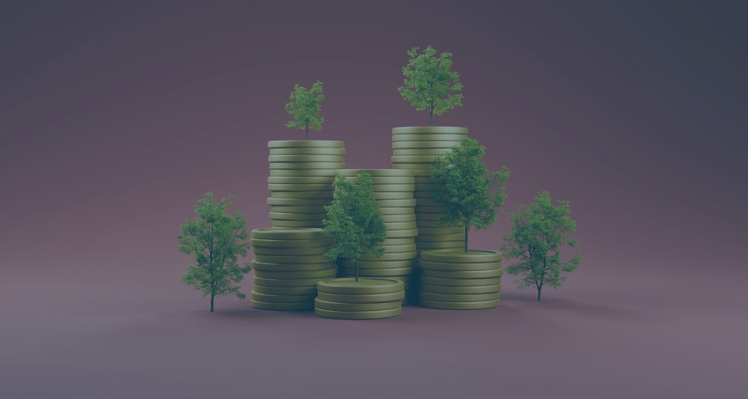 Funding with Foresight: Legal Clarity for Seed Investors and Institutional Venture Capital Backers