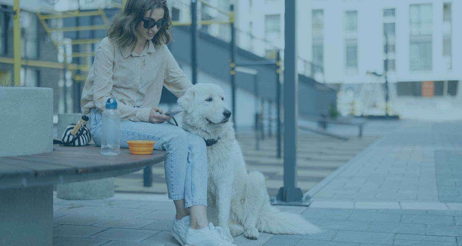 Many leaseholders find that their lease terms, agreed decades ago, now impose unfair, inflexible or burdensome obligations. Common examples include: