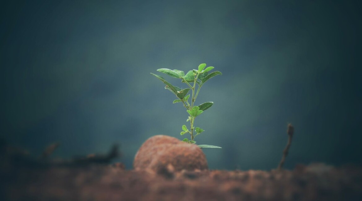 Guide explaining how insurance-related businesses can qualify for SEIS and EIS despite insurance being an excluded activity under HMRC rules.