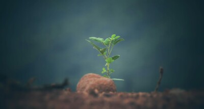 Guide explaining how insurance-related businesses can qualify for SEIS and EIS despite insurance being an excluded activity under HMRC rules.