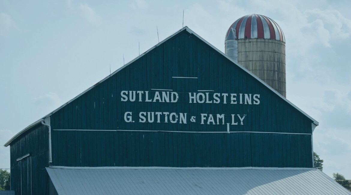 Overview of key shareholder agreement clauses that matter in family investment companies, focusing on control, governance and decision-making.