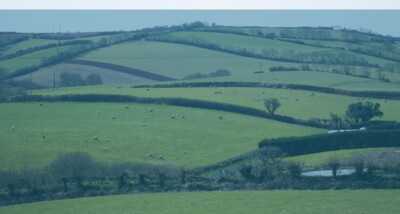 This article provides an overview of farming tenancies under English law, the most common legal issues that arise, and how disputes are typically resolved.