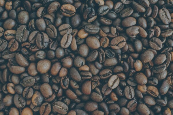 Commercial lease renewal case study: how a West Sussex café secured a 1954 Act protected lease and outdoor seating licence with expert legal support.