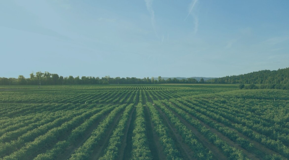 Buyer reviewing an overage clause and land purchase documents showing the financial and development implications of buying land subject to overage