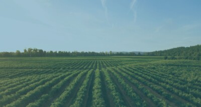 Buyer reviewing an overage clause and land purchase documents showing the financial and development implications of buying land subject to overage